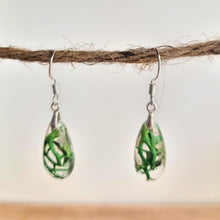 Load image into Gallery viewer, Green Moss/lichen Earrings