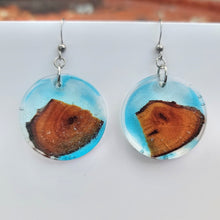 Load image into Gallery viewer, Driftwood & Water Earrings