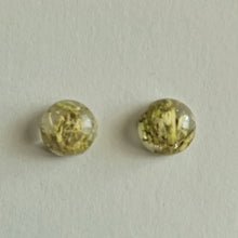 Load image into Gallery viewer, Moss/lichen Circle Stud Earrings