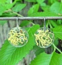Load image into Gallery viewer, Yellow Boho Circle Nature Earrings