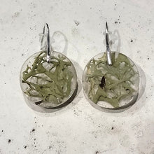 Load image into Gallery viewer, light Green Moss Circle Nature Earrings