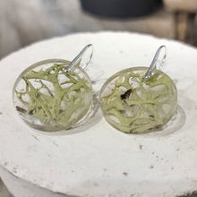 Load image into Gallery viewer, light Green Moss Circle Nature Earrings