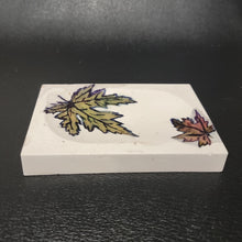 Load image into Gallery viewer, Maple Leaf Concrete Soap dish