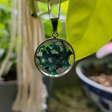 Load image into Gallery viewer, Handmade Resin Necklace with Dried Moss/Lichen & Resin
