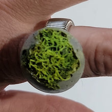 Load image into Gallery viewer, Unique Moss & Concrete Adjustable Ring