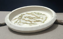 Load image into Gallery viewer, Handcrafted Soap Dish with raw dried cereals set in Cement
