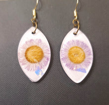 Load image into Gallery viewer, Eye of the Flower - Purple Fleabane's in Lightweight Cement