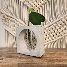 Load image into Gallery viewer, Handmade Concrete Plant Propagation Square