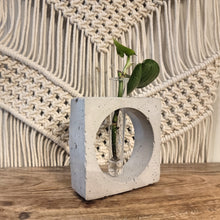 Load image into Gallery viewer, Handmade Concrete Plant Propagation Square