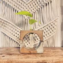 Load image into Gallery viewer, Square Handmade Concrete Plant Propagation Decor
