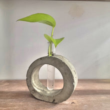 Load image into Gallery viewer, Rustic Industrial Concrete Plant Propagation Station