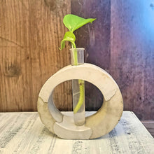 Load image into Gallery viewer, Mixed Concrete Plant Propagation Station