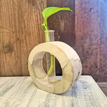 Load image into Gallery viewer, Mixed Concrete Plant Propagation Station