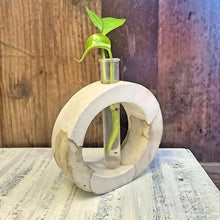 Load image into Gallery viewer, Mixed Concrete Plant Propagation Station