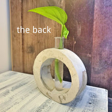 Load image into Gallery viewer, Mixed Concrete Plant Propagation Station