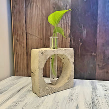 Load image into Gallery viewer, Handmade Concrete Plant Propagation with metal flecks