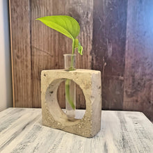 Load image into Gallery viewer, Handmade Concrete Plant Propagation with metal flecks