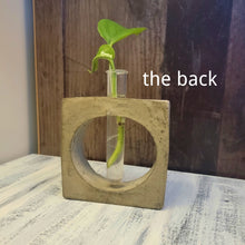 Load image into Gallery viewer, Handmade Concrete Plant Propagation with metal flecks