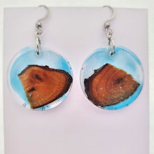 Load image into Gallery viewer, Driftwood & Water Earrings