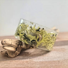 Load image into Gallery viewer, Dried Yellow Moss Cuff Bracelet