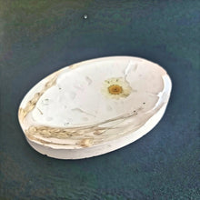 Load image into Gallery viewer, Oval Floral Ivory Concrete Soap dish