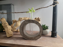 Load image into Gallery viewer, Concrete Plant Propagation Station with Ivy Accent