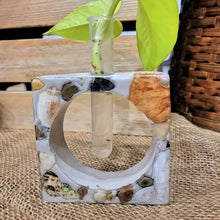 Load image into Gallery viewer, Shells & Riverstone Concrete Plant Propagation Square