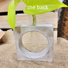 Load image into Gallery viewer, Shells & Riverstone Concrete Plant Propagation Square