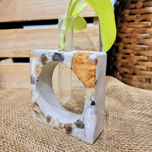 Load image into Gallery viewer, Shells & Riverstone Concrete Plant Propagation Square