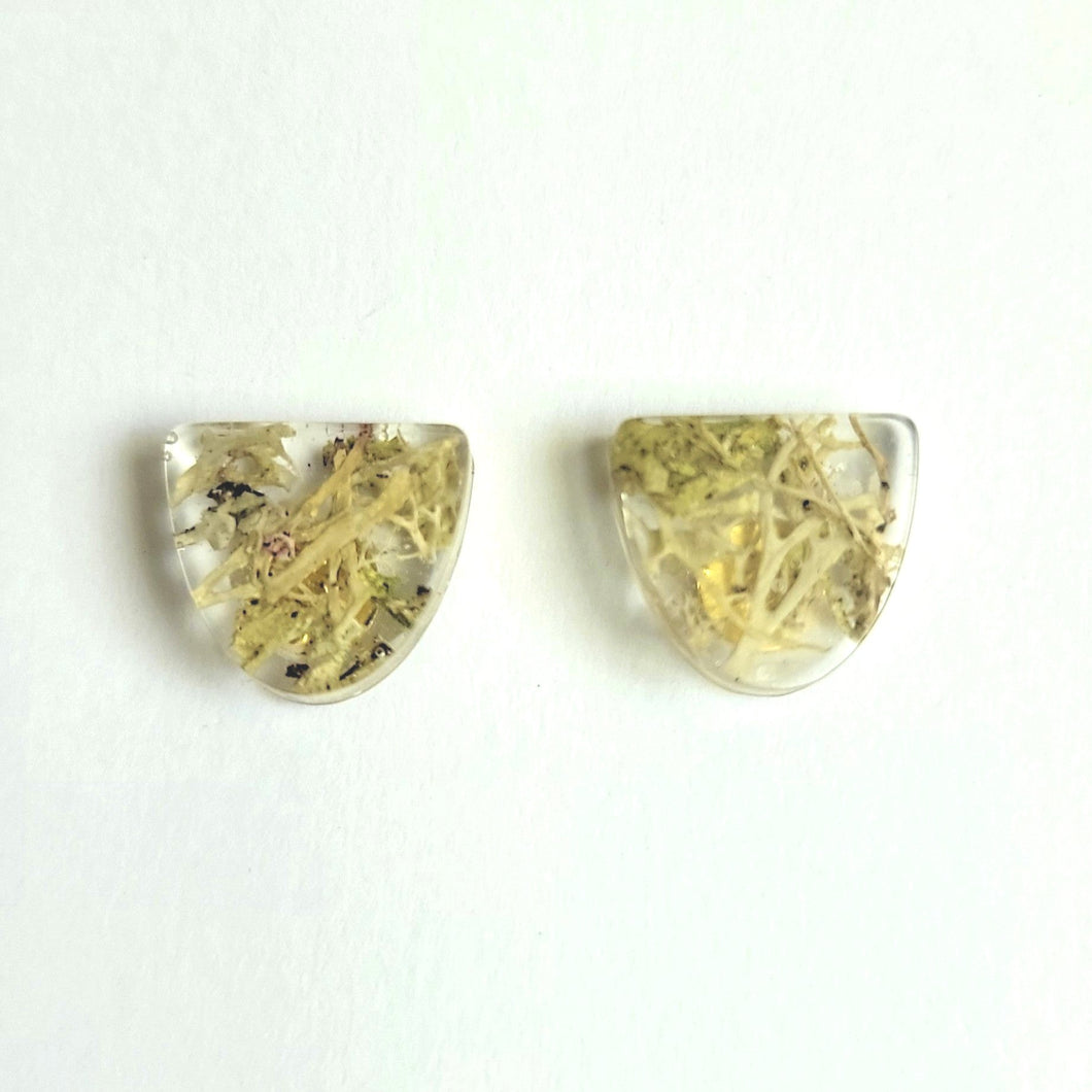 Yellow Moss/lichen Semi oval Earrings