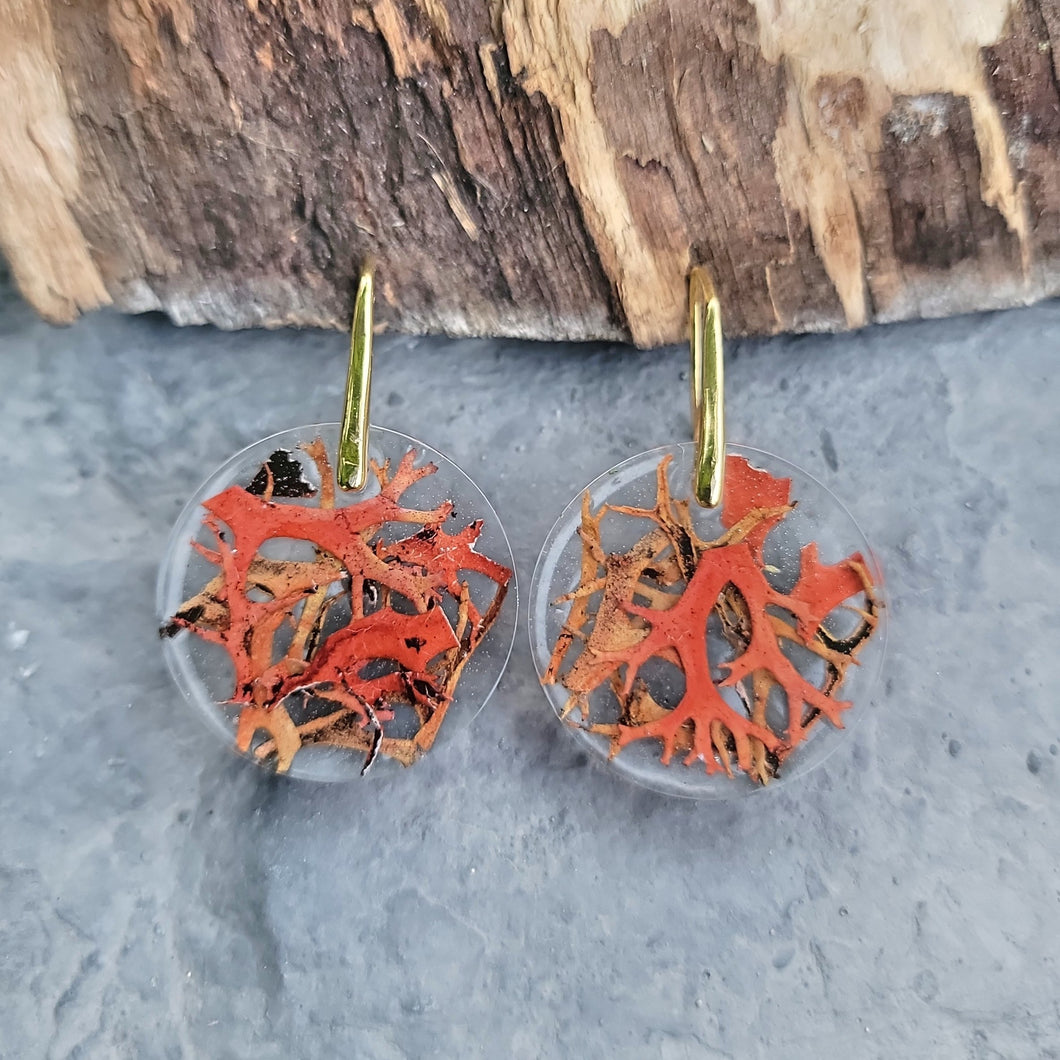 Burnt Orange Moss/Lichen Earrings Boho