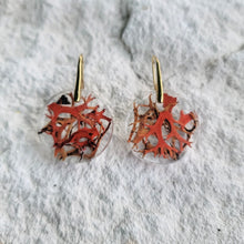 Load image into Gallery viewer, Burnt Orange Moss/Lichen Earrings Boho
