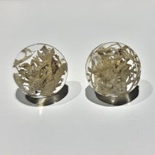 Load image into Gallery viewer, Moss/lichen Circle Stud Earrings
