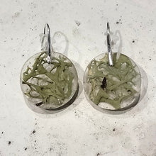 Load image into Gallery viewer, light Green Moss Circle Nature Earrings
