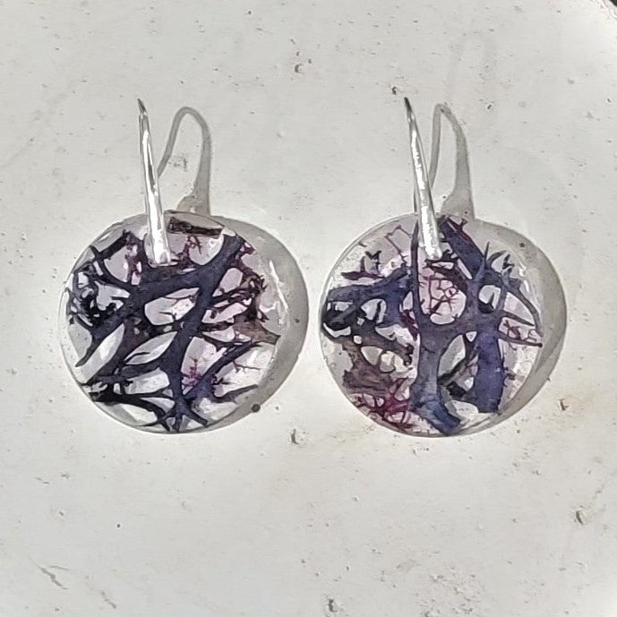 Aubergine Moss/lichen Earrings