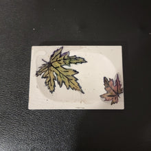 Load image into Gallery viewer, Maple Leaf Concrete Soap dish

