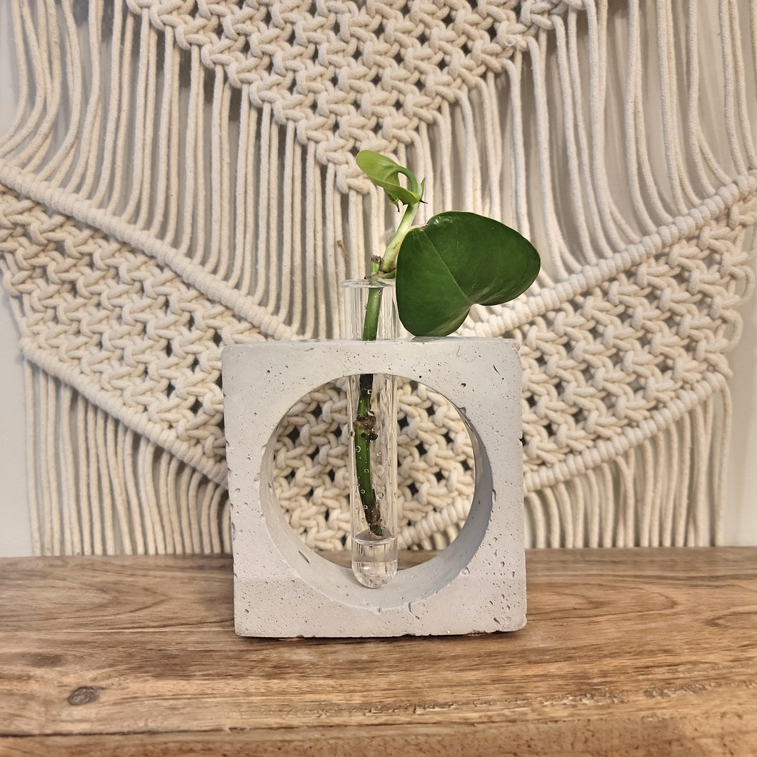 Handmade Concrete Plant Propagation Square