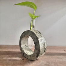 Load image into Gallery viewer, Rounded Handmade Concrete Plant Propagation Tube holder
