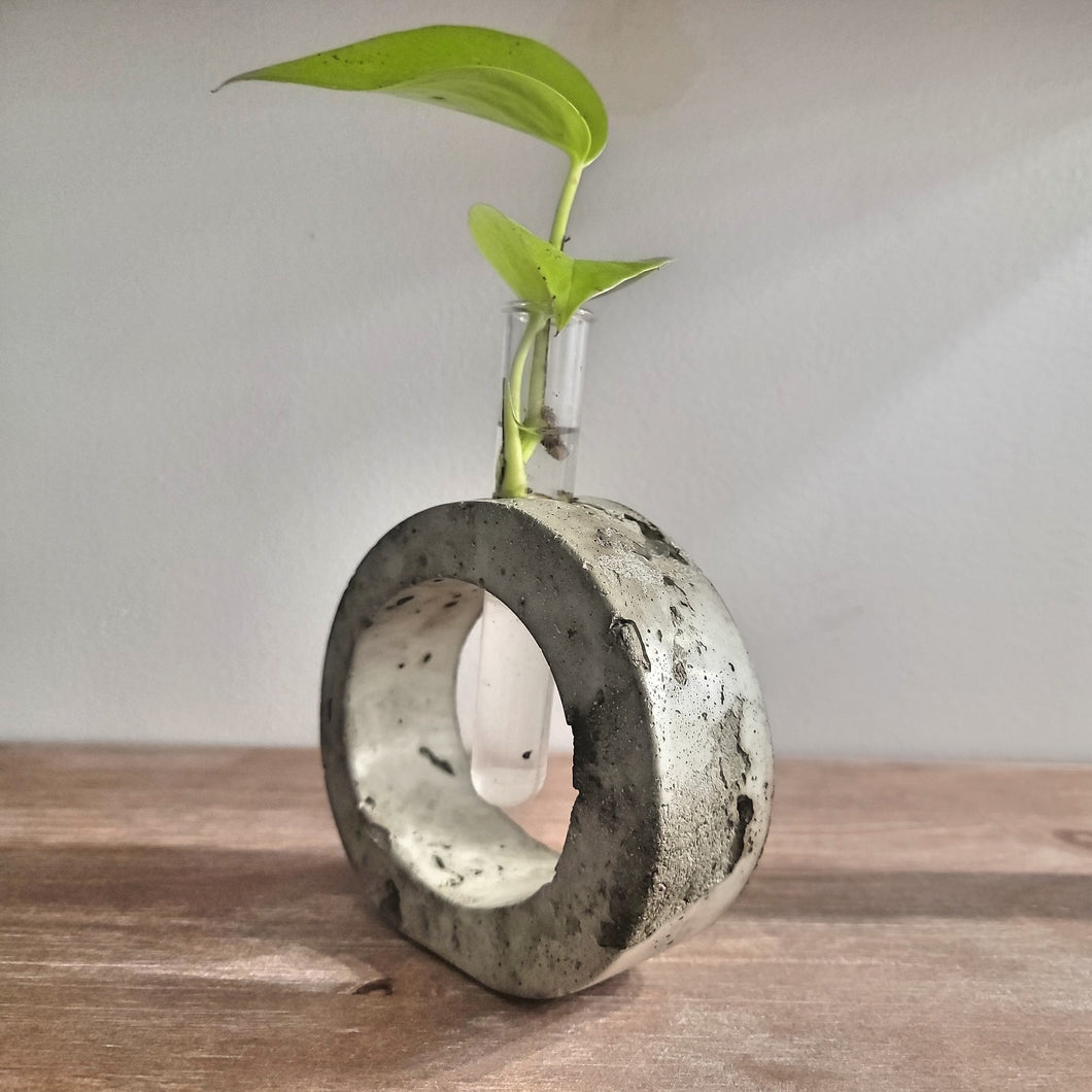 Rounded Handmade Concrete Plant Propagation Tube holder