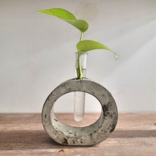 Load image into Gallery viewer, Rounded Handmade Concrete Plant Propagation Tube holder
