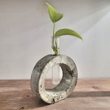 Load image into Gallery viewer, Rounded Handmade Concrete Plant Propagation Tube holder
